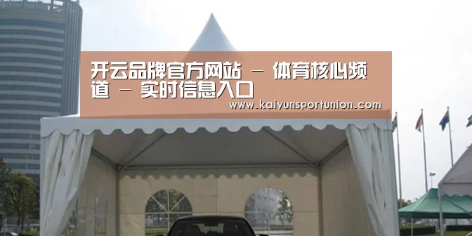 案例标题八