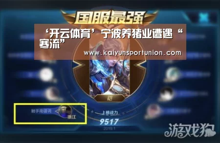 开云APP