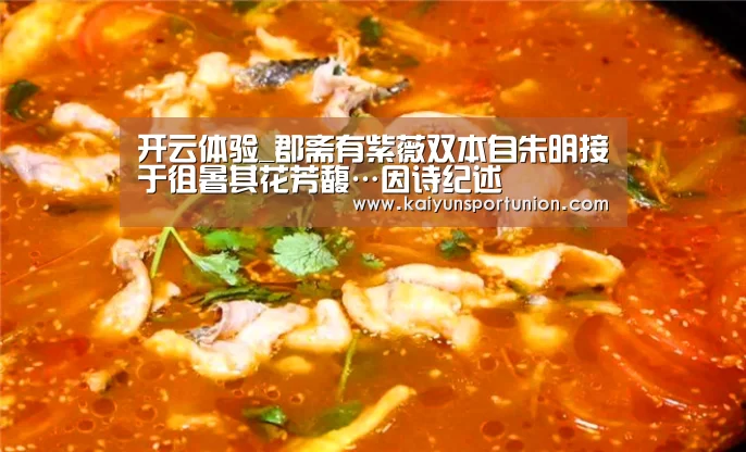 开云体育