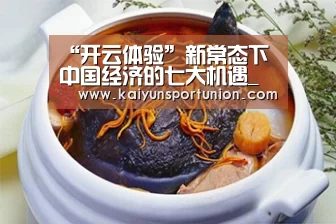 “开云体验”新常态下中国经济的七大机遇_政策法规_新闻_矿道网(图2) 开云APP