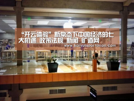 “开云体验”新常态下中国经济的七大机遇_政策法规_新闻_矿道网(图3) 开云网站
