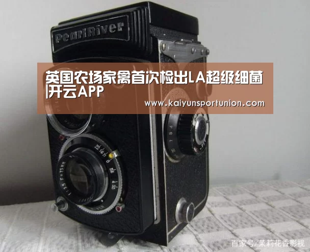 开云APP