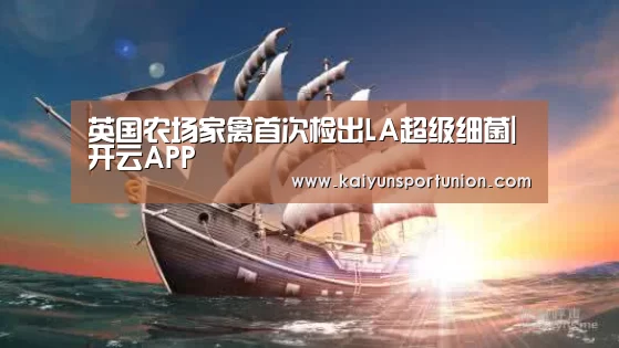 开云体育