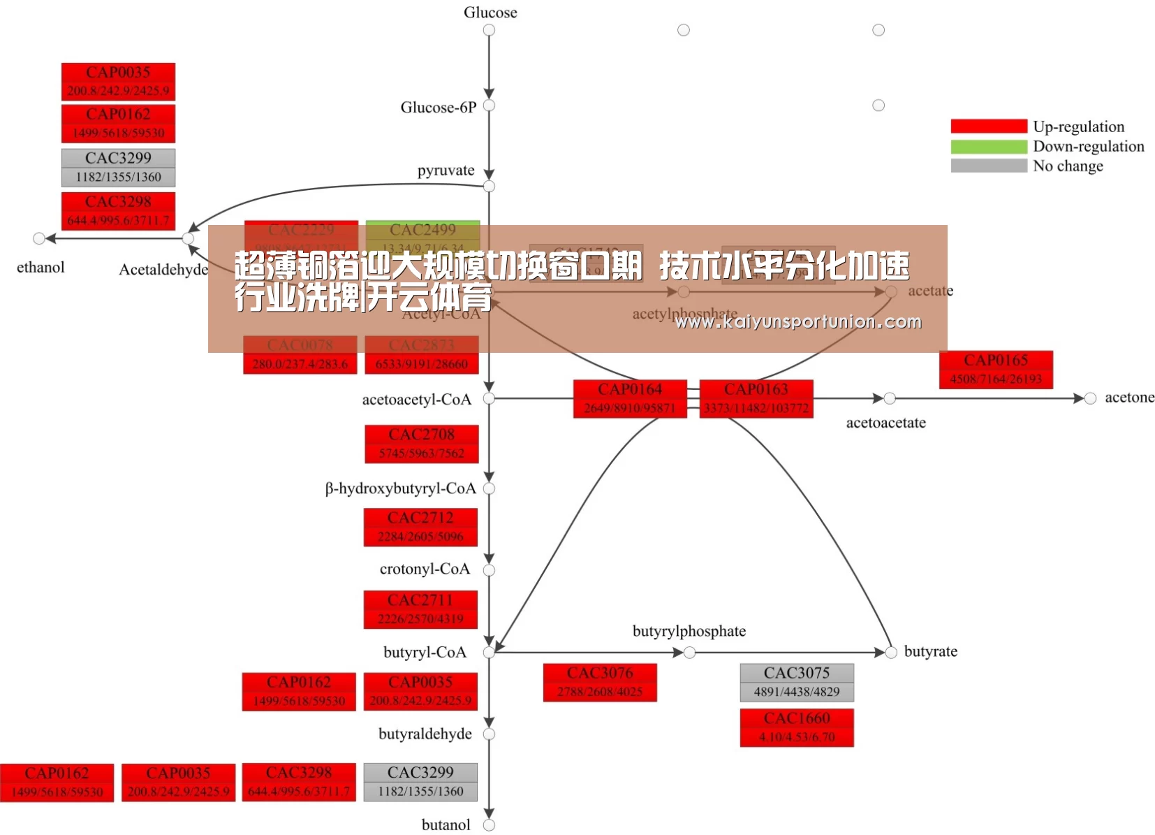 超薄铜箔迎大规模切换窗口期 技术水平分化加速行业洗牌|开云体育(图1) 开云网站