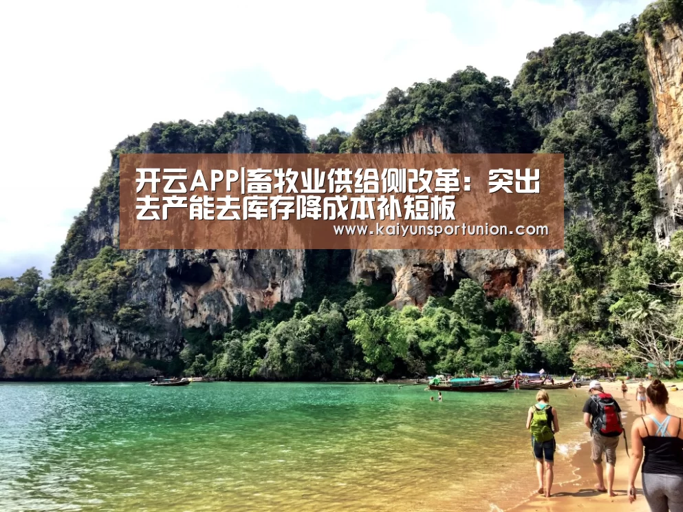 开云APP|畜牧业供给侧改革:突出去产能去库存降成本补短板(图4) 开云APP