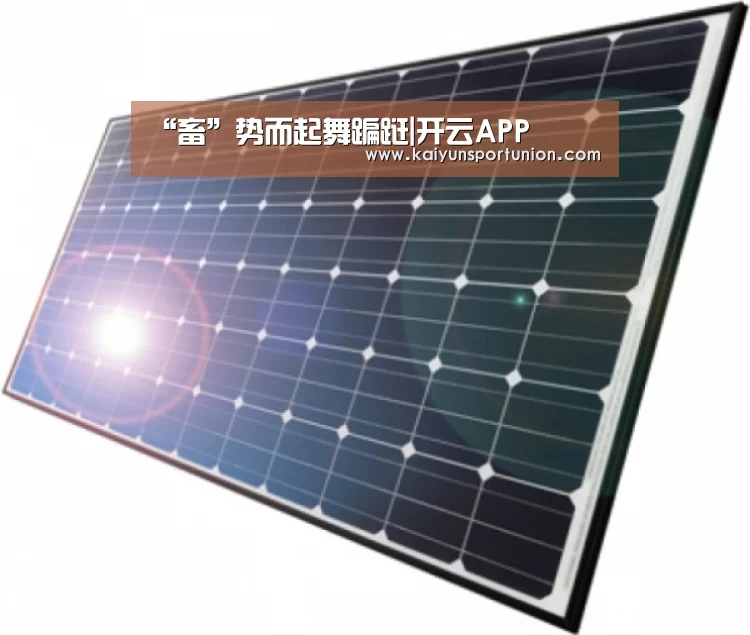 “畜”势而起舞蹁跹|开云APP(图2) 开云体验