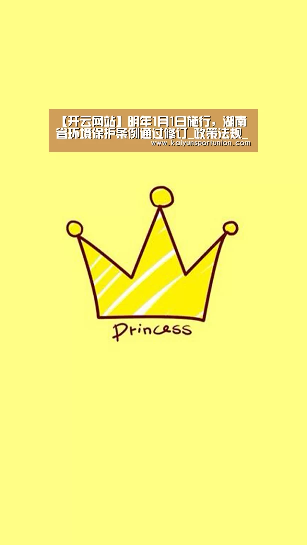 开云网站