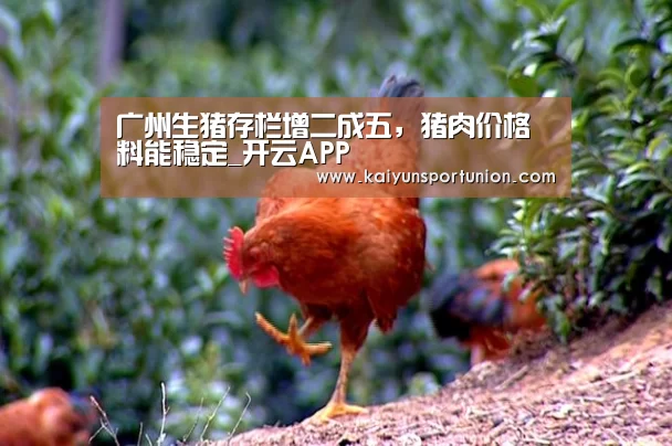 广州生猪存栏增二成五,猪肉价格料能稳定_开云APP(图1) 开云体验