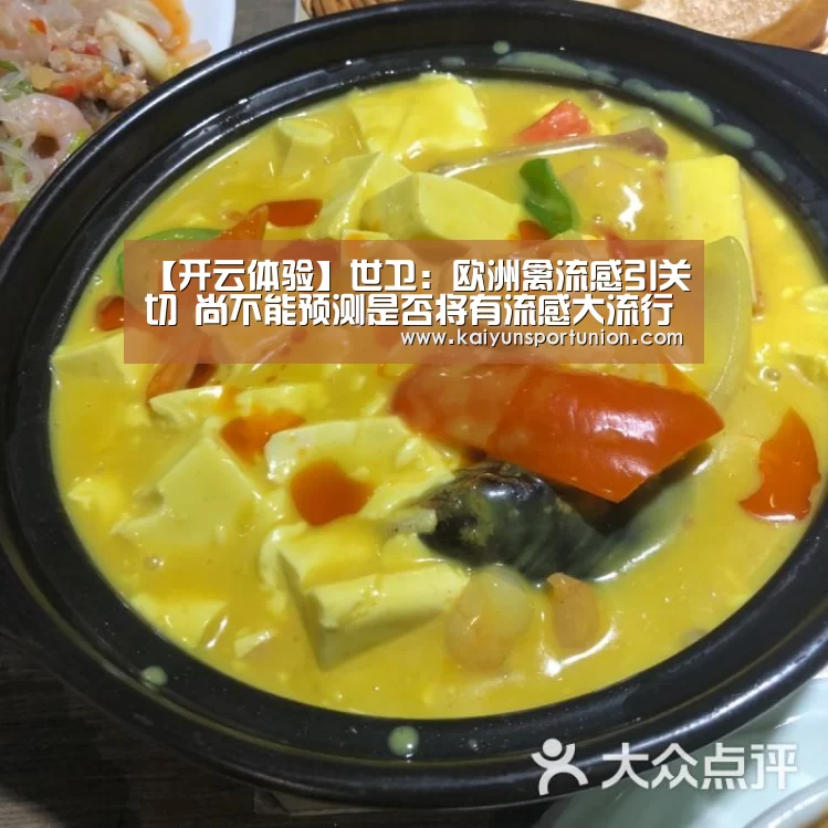 【开云体验】世卫:欧洲禽流感引关切 尚不能预测是否将有流感大流行(图1) 开云网站