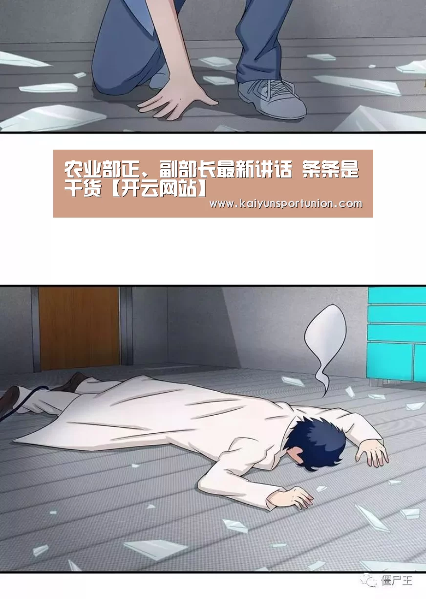 开云体验