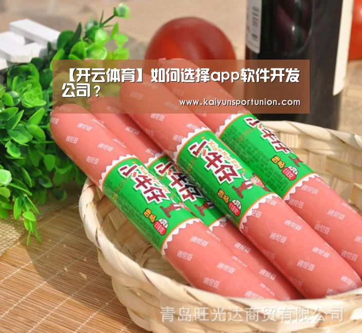 【开云体育】如何选择app软件开发公司?(图4) 开云体验