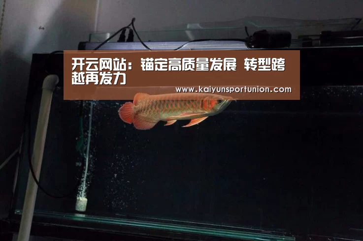 开云体育