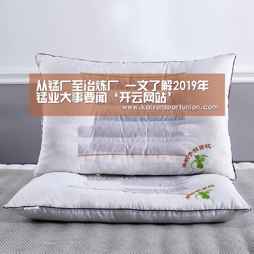 从锰厂至冶炼厂 一文了解2019年锰业大事要闻‘开云网站’(图1) 开云APP